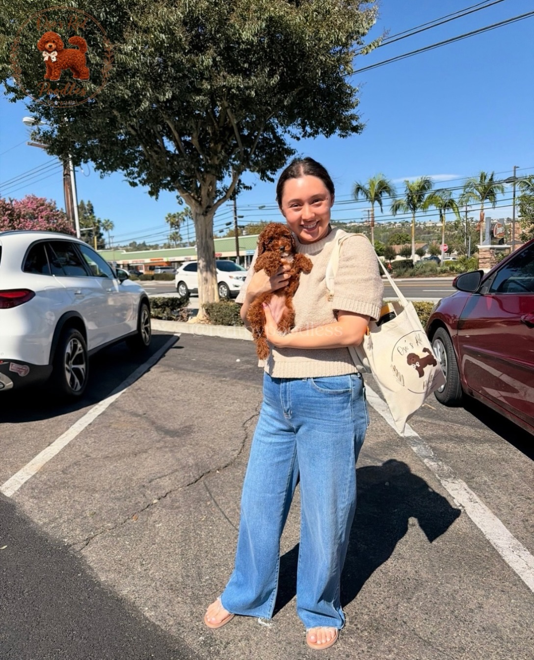 A woman holding a small brown Poodle outdoors in a parking lot.