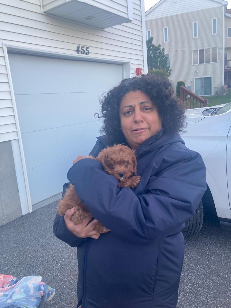 A woman holding a small brown puppy outdoors.